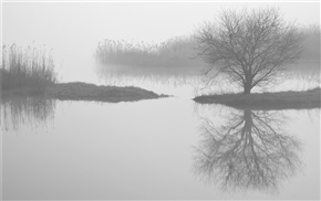 仙山湖印象（005）