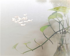 乡村