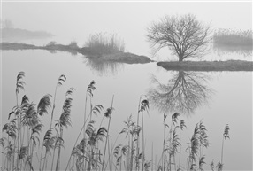 仙山湖印象（006）