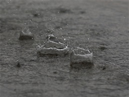 雨皇冠