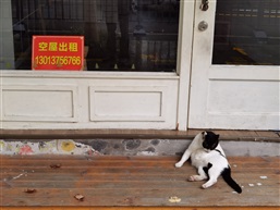 待业