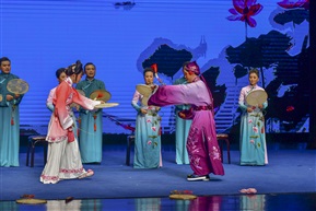 《张郎休妻之打丁香》 (5)