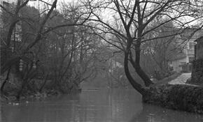 仙山湖印象（014）