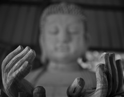 一切都本无相