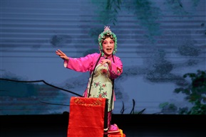 赣中花鼓戏-打鸟2011171