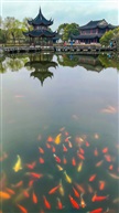相映成趣