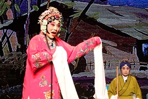 河北省折子戏专场，田二红开店，曲周柳子腔剧团