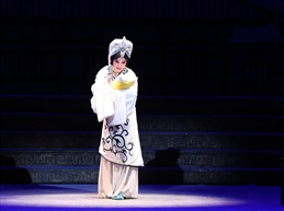 河南豫剧《程婴救孤》10