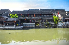 隔岸闻茶