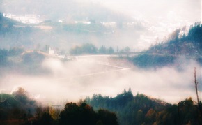 路