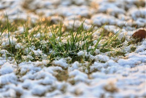 雪后昆山（3）