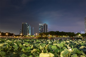 荷塘夜色