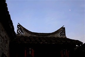我的照片901