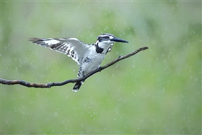 《冒雨登顶》