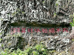 天不塌賴以柱其間