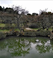 《雙梅圖》