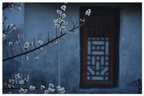 窗外