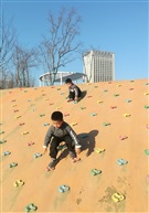 童趣