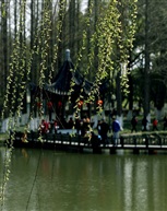我的照片1128