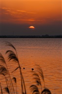 夕照
