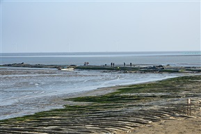 条子泥滩涂