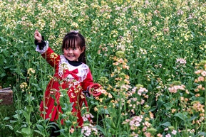 赏花的小姑娘-1