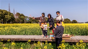 计家墩油菜花海-7