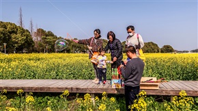 计家墩油菜花海-7