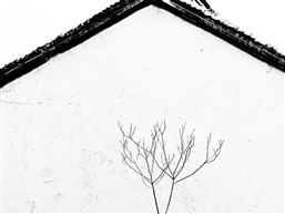 窗外