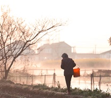 乡村早晨