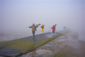 出海