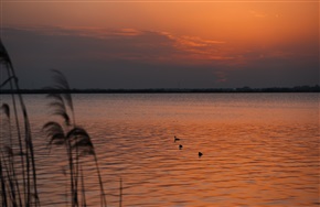 夕照