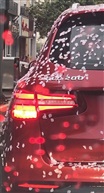 杏花雨