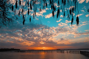 夕阳下
