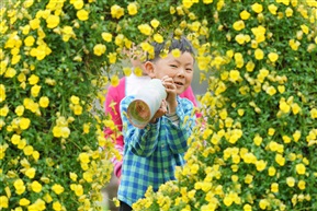 春天的花环