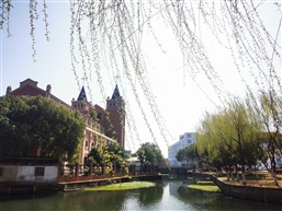 春光无限好
