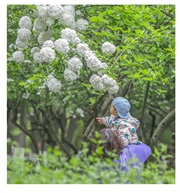 《春天》
