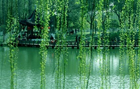 我的照片1246