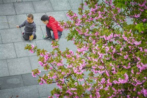 《小伙伴》