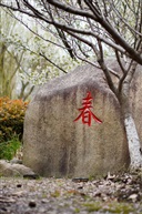 春
