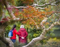 《春暖爱心》