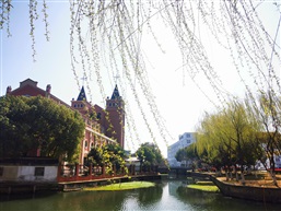 春光无限好