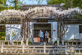 《春暖花开》