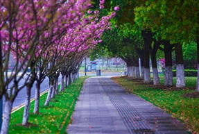 春路