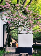 春来到