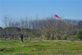 追风者