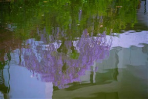 湖中春色