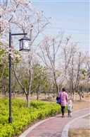 游春