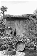春到小院