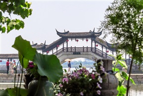 古莲桥晚春